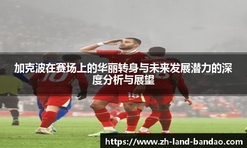 半岛体育在线网站