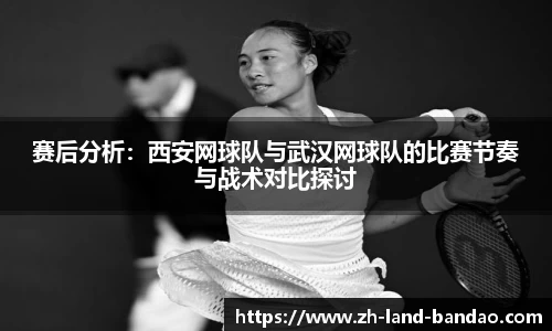 半岛体育网址
