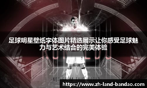 半岛体育官网入口