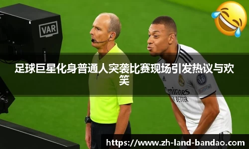 半岛体育官网入口