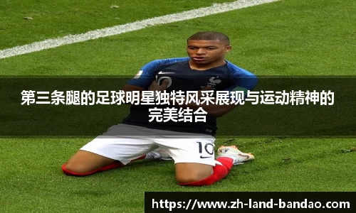 半岛体育官网入口