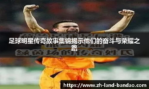 半岛体育在线网站