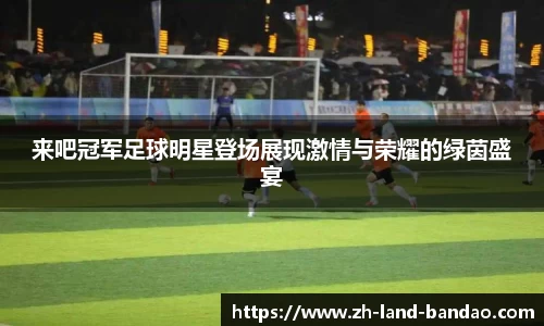来吧冠军足球明星登场展现激情与荣耀的绿茵盛宴